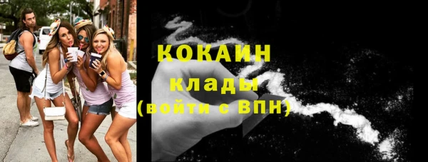 сатива Богородицк