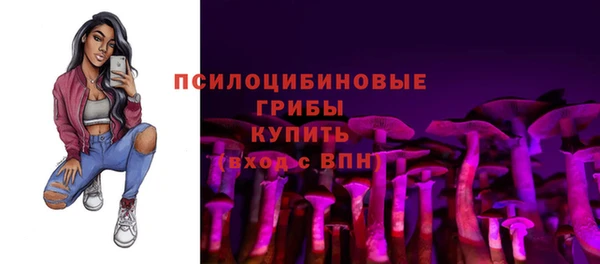 ПСИЛОЦИБИНОВЫЕ ГРИБЫ Богородск