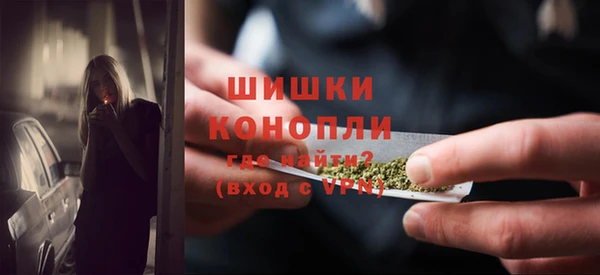 сатива Богородицк
