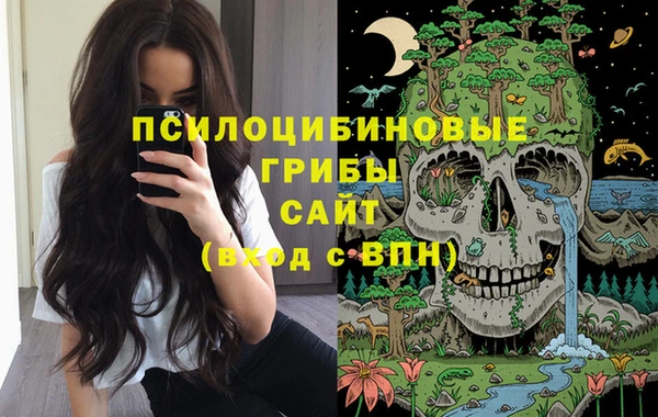 сатива Богородицк