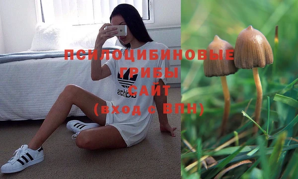 каннабис Богданович