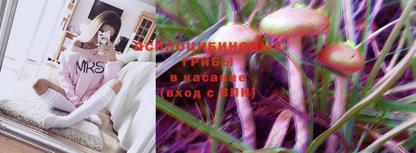 ПСИЛОЦИБИНОВЫЕ ГРИБЫ Богородск