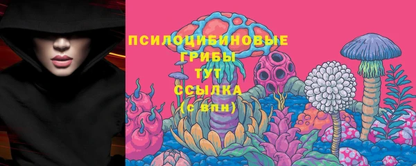 ПСИЛОЦИБИНОВЫЕ ГРИБЫ Богородск